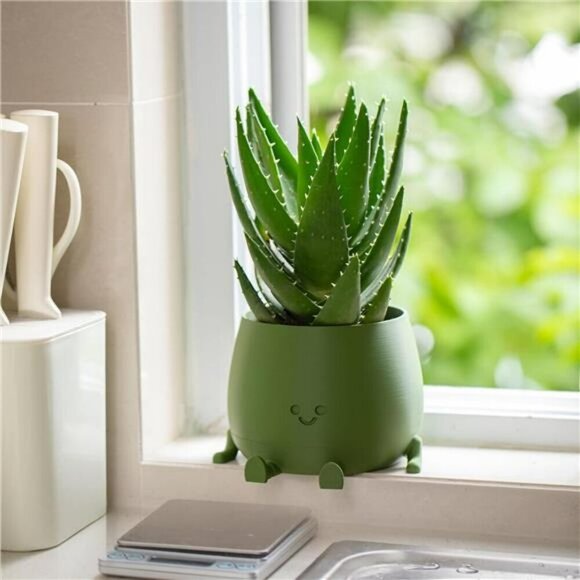 Happy Face Self Watering Planter Pot with Drainage Indoor Outdoor Succulent - Picture 6 of 8